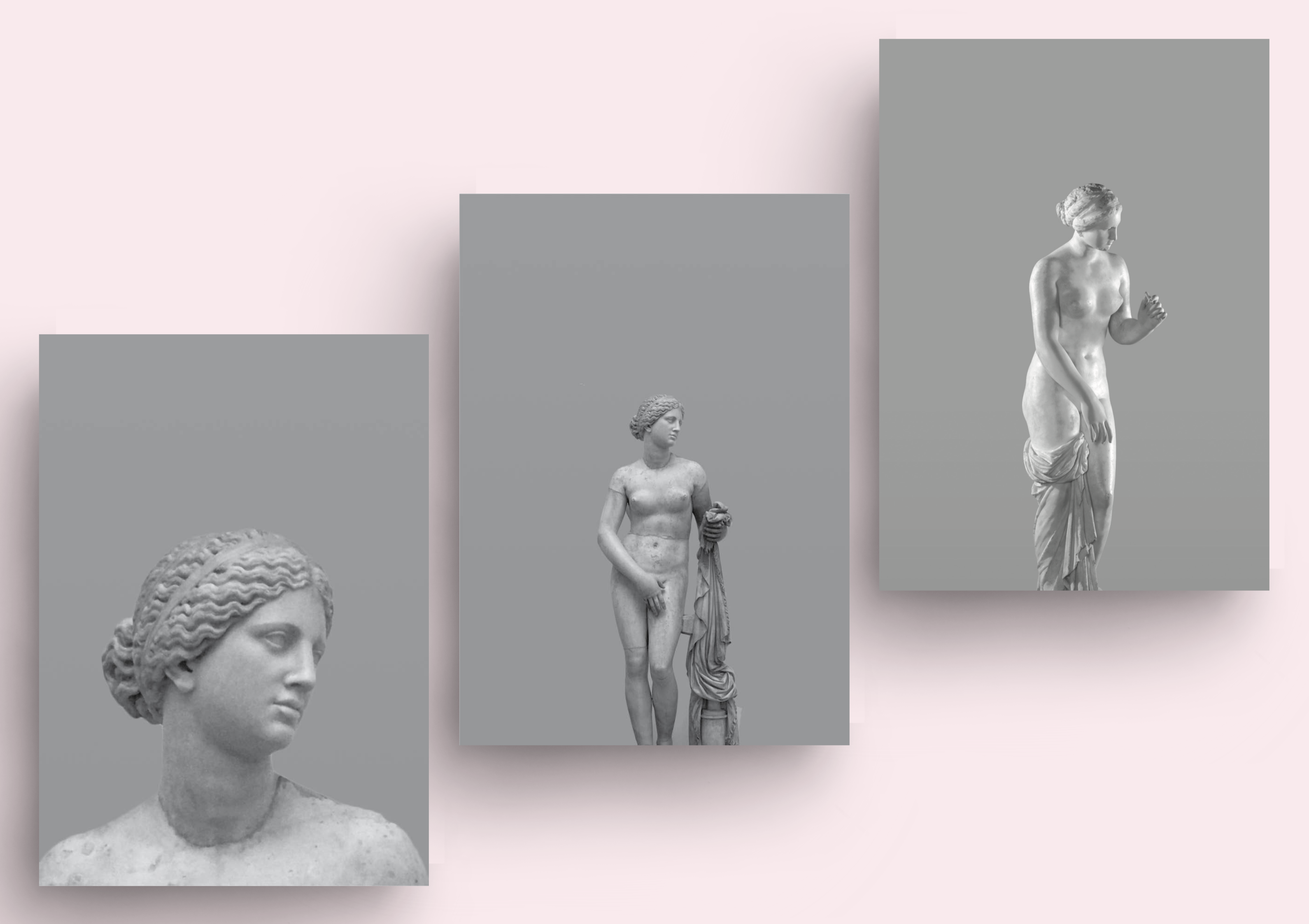 Complementary image of the project The New Beauty